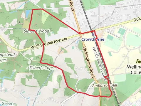 Crowthorne Loop
