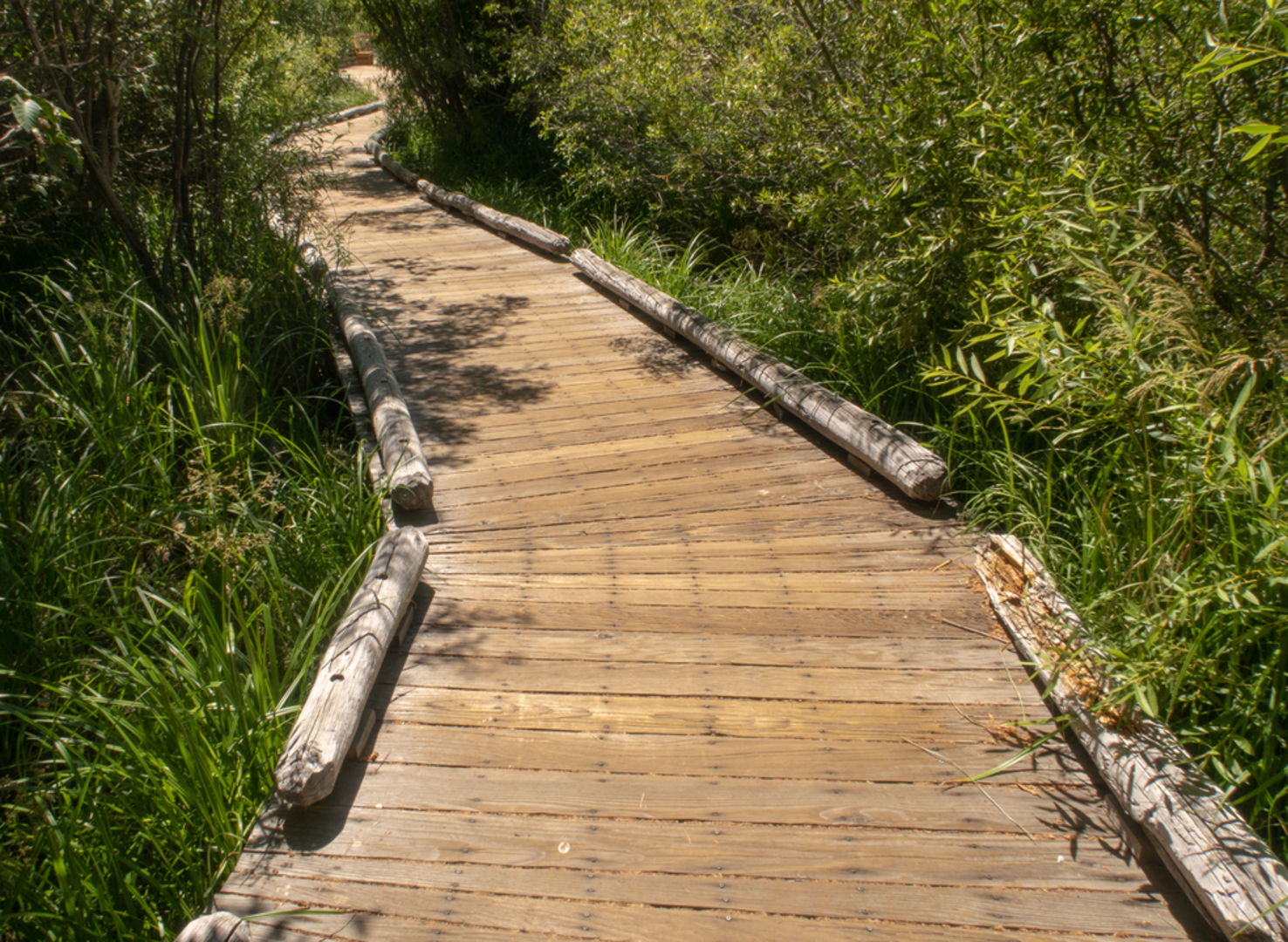 An image depicting the trail Rainbow Trail and its surrounding area.