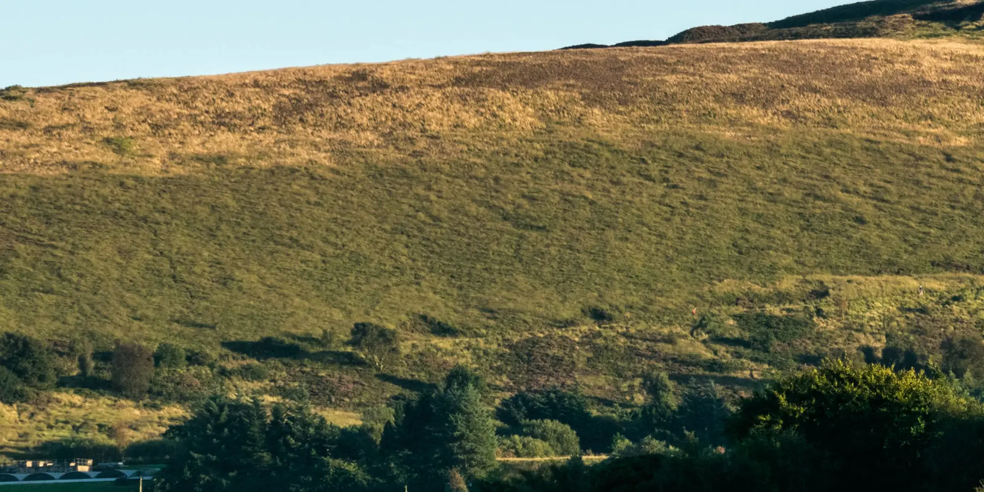 An image depicting the trail Darwen Tower and West Pennine Moors and its surrounding area.