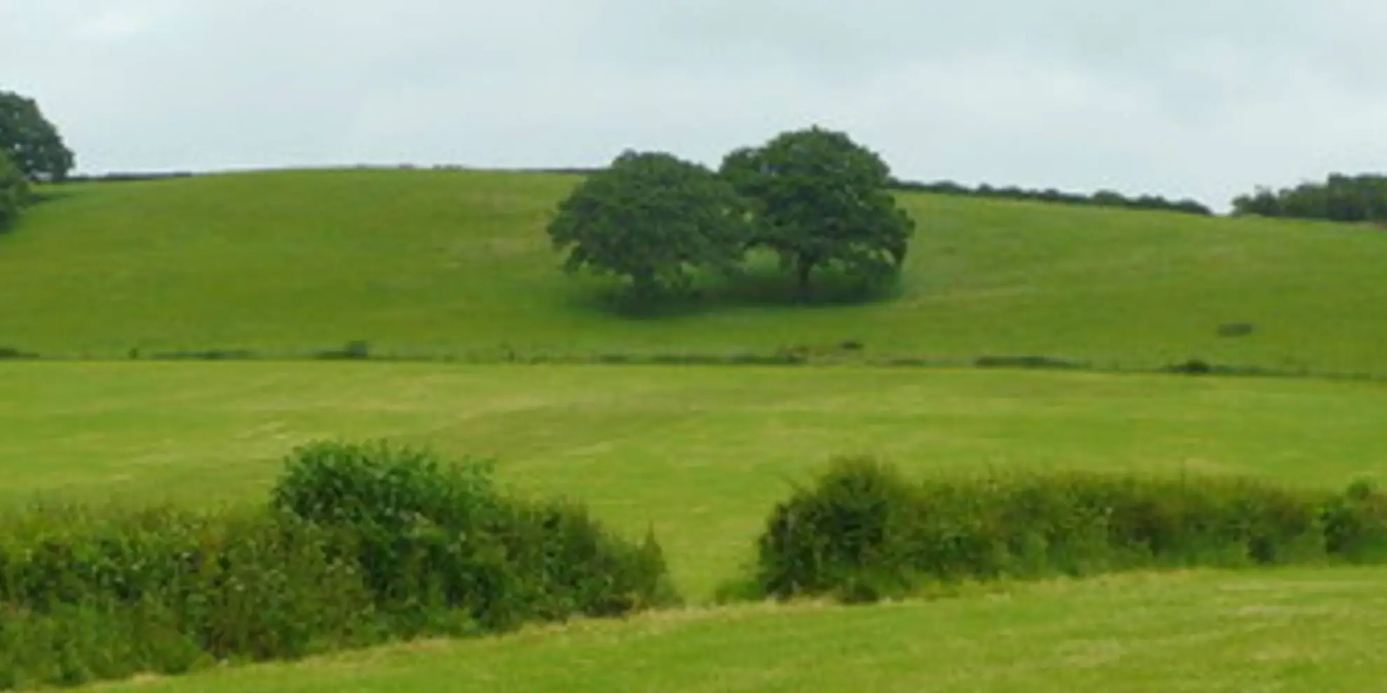 An image depicting the trail The Marcle Ridge from Much Marcle and its surrounding area.