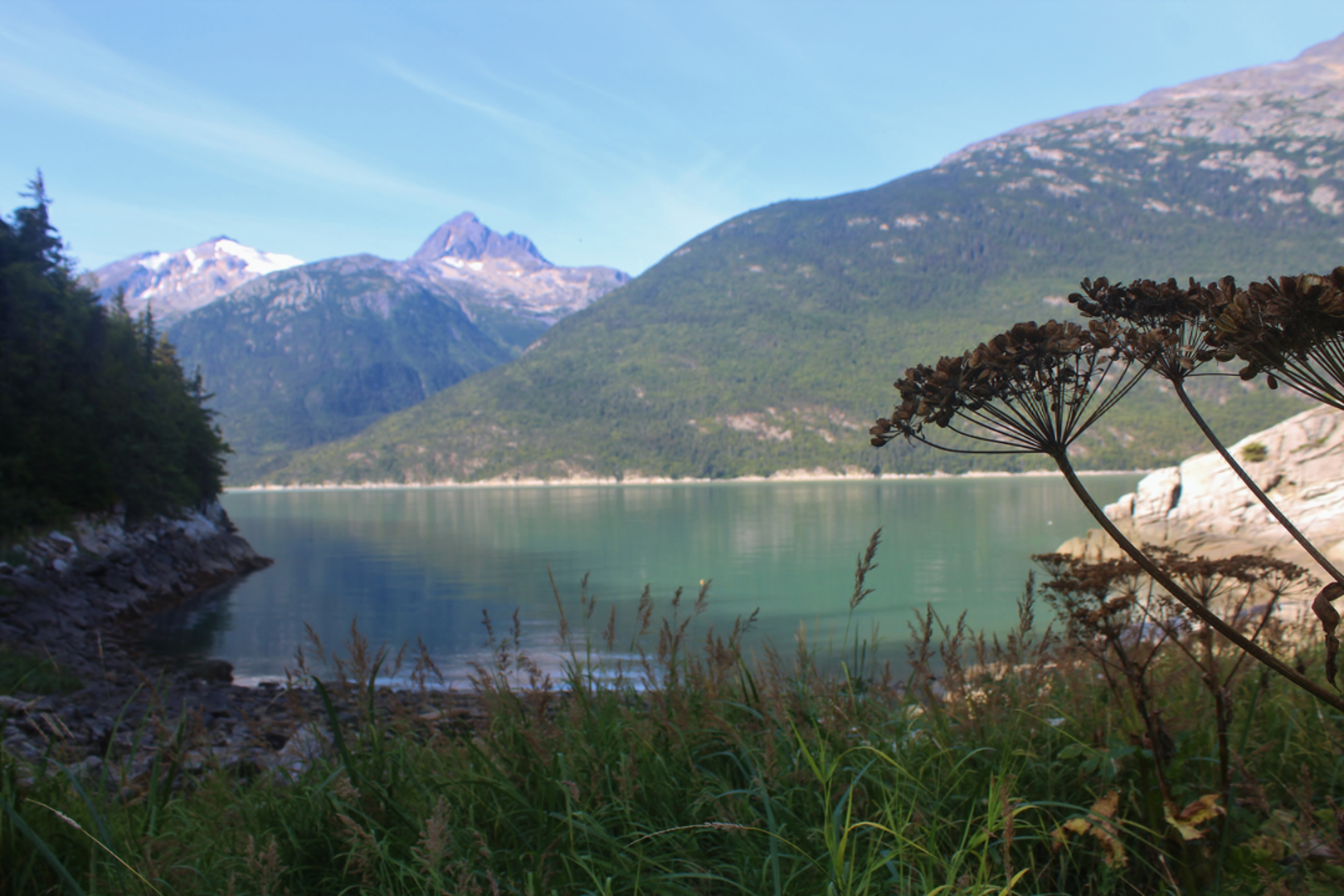An image depicting the trail Smuggler's Cove Trail and its surrounding area.