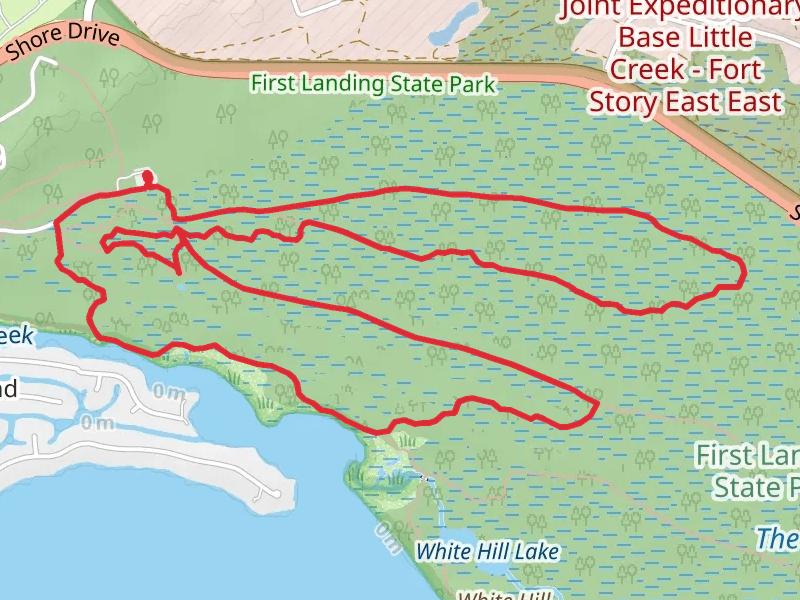 Osmanthus Trail,Osmanthus Trail and Cape Henry Trail Loop