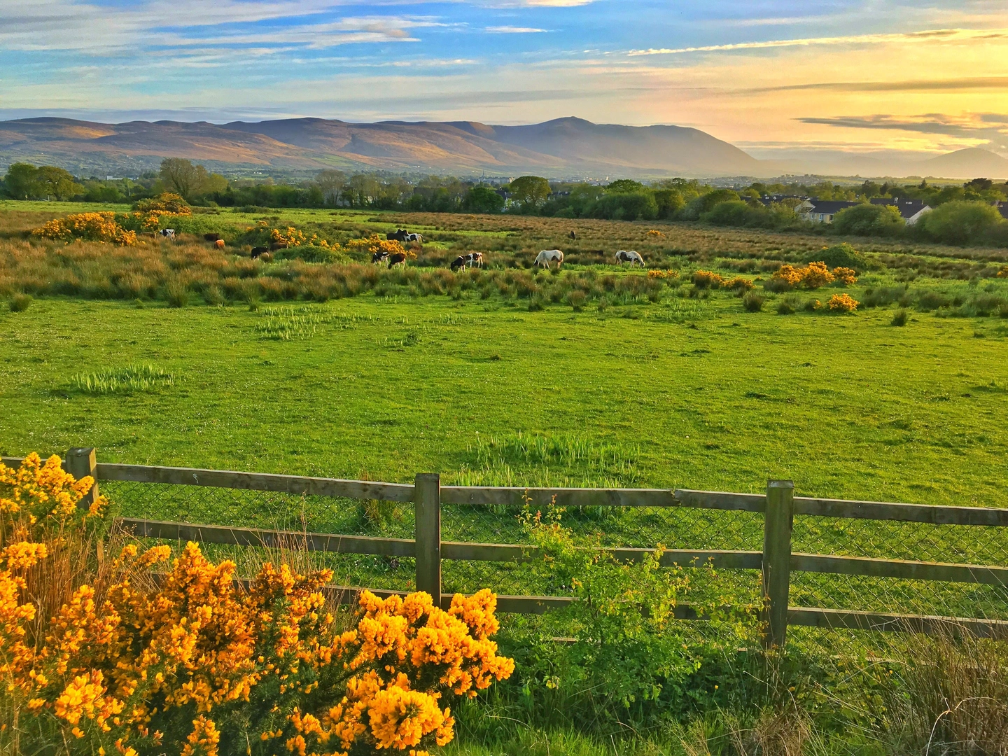 An image depicting the trail Glanageenty Loop and its surrounding area.