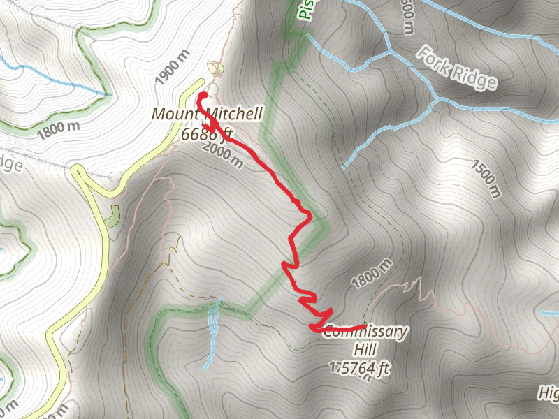 Mount Mitchell and Commissary Hill Backcountry Campsite via Mount Mitchell Trail