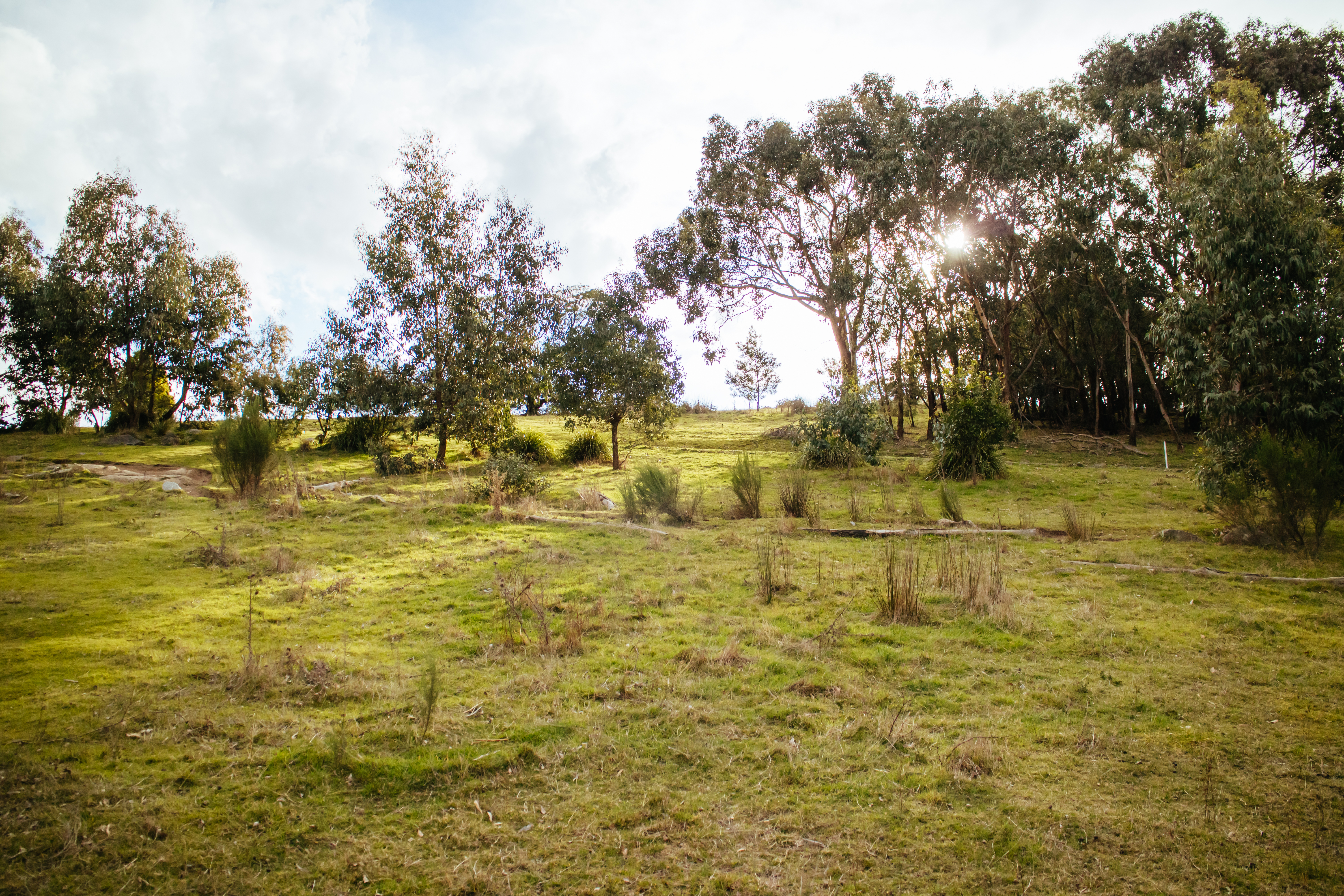 An image depicting the trail Churchill National Park and its surrounding area.