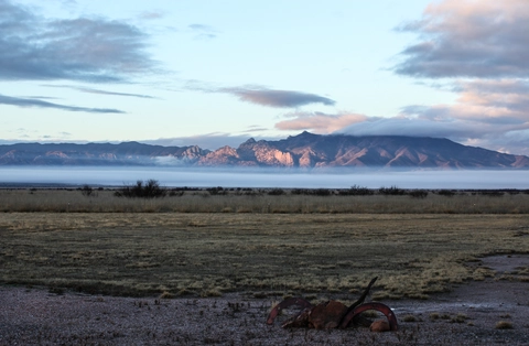 An image depicting the trail Middlemarch Canyon via Cochise Stronghold Trail and its surrounding area.