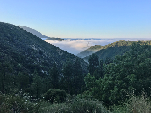 An image depicting the trail Pacifico Mountain via Pacific Crest Trail and its surrounding area.
