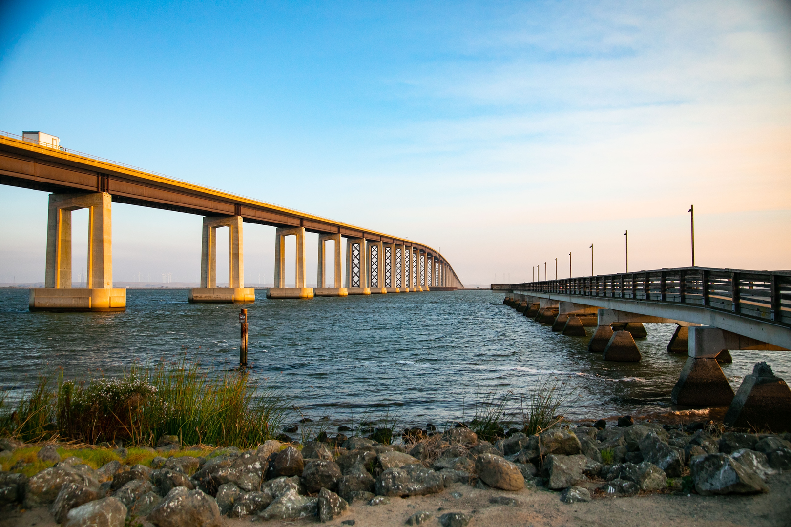 An image depicting the trail Antioch-Oakley Regional Shoreline Loop and its surrounding area.