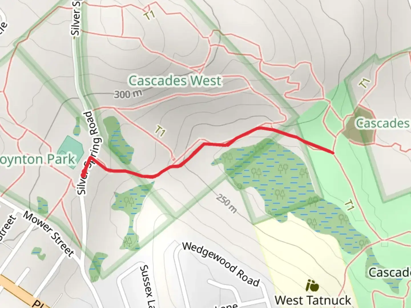 An image depicting the trail Silver Spring Trail and its surrounding area.