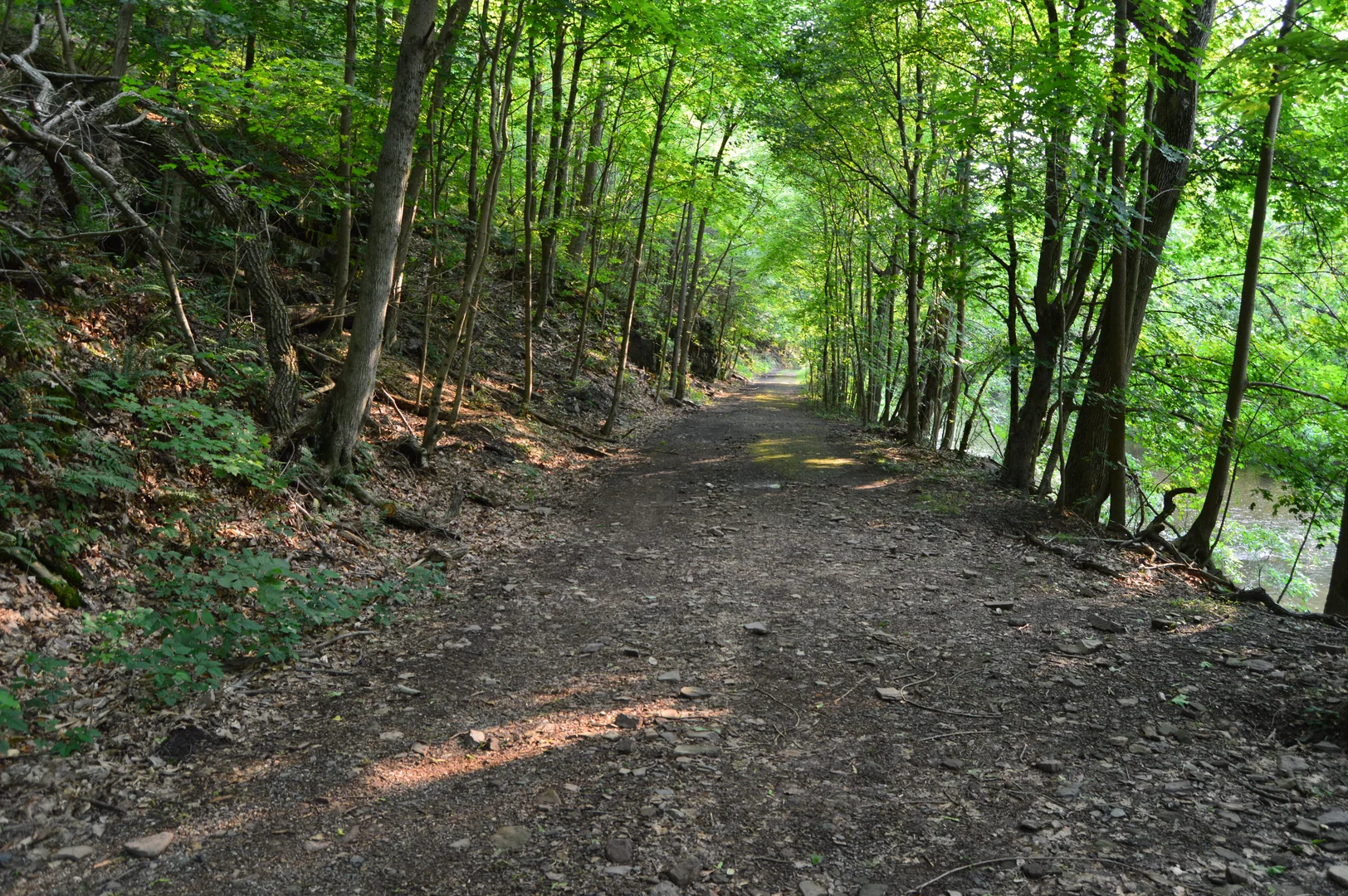 An image depicting the trail Skippack Creek Loop Trail and its surrounding area.