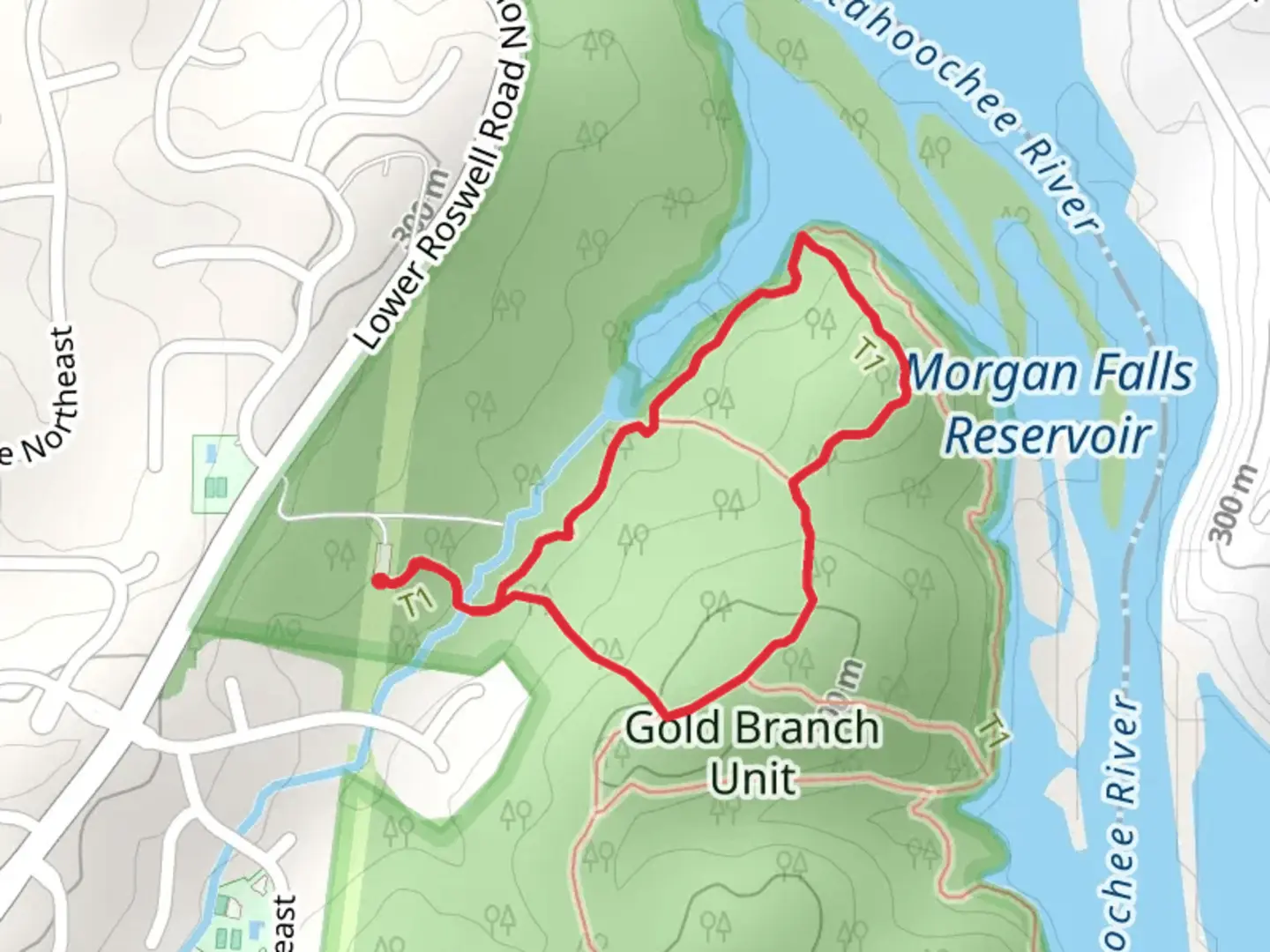 An image depicting the trail Morgan Falls Reservoir Loop and its surrounding area.