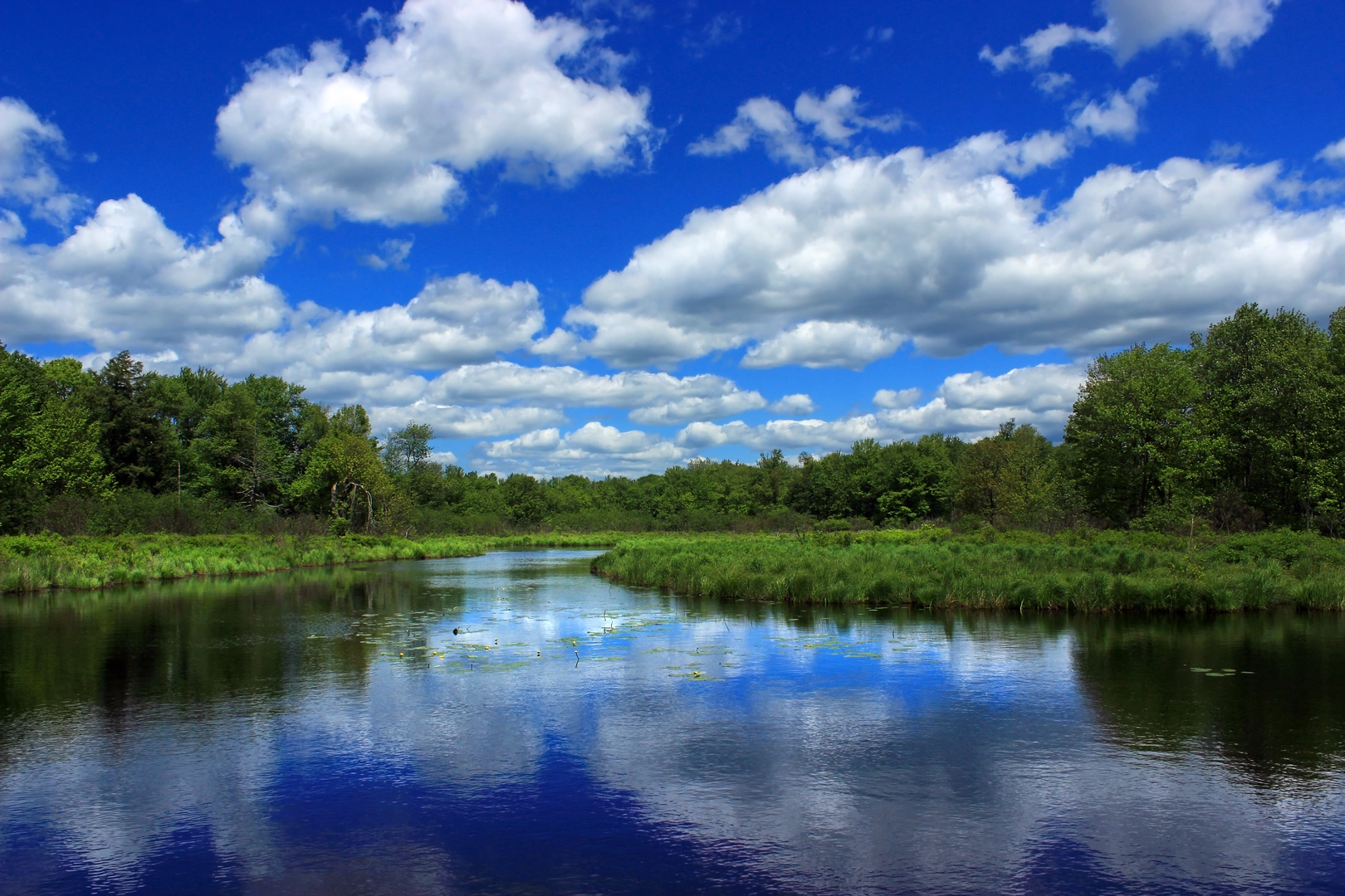 An image depicting the trail Tobyhanna Lake Loop Trail and its surrounding area.
