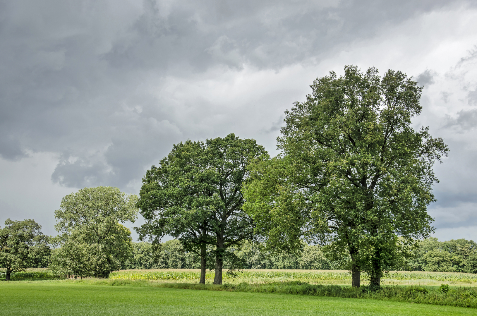An image depicting the trail De Gunne, De Voorde and Terra nova Loop and its surrounding area.
