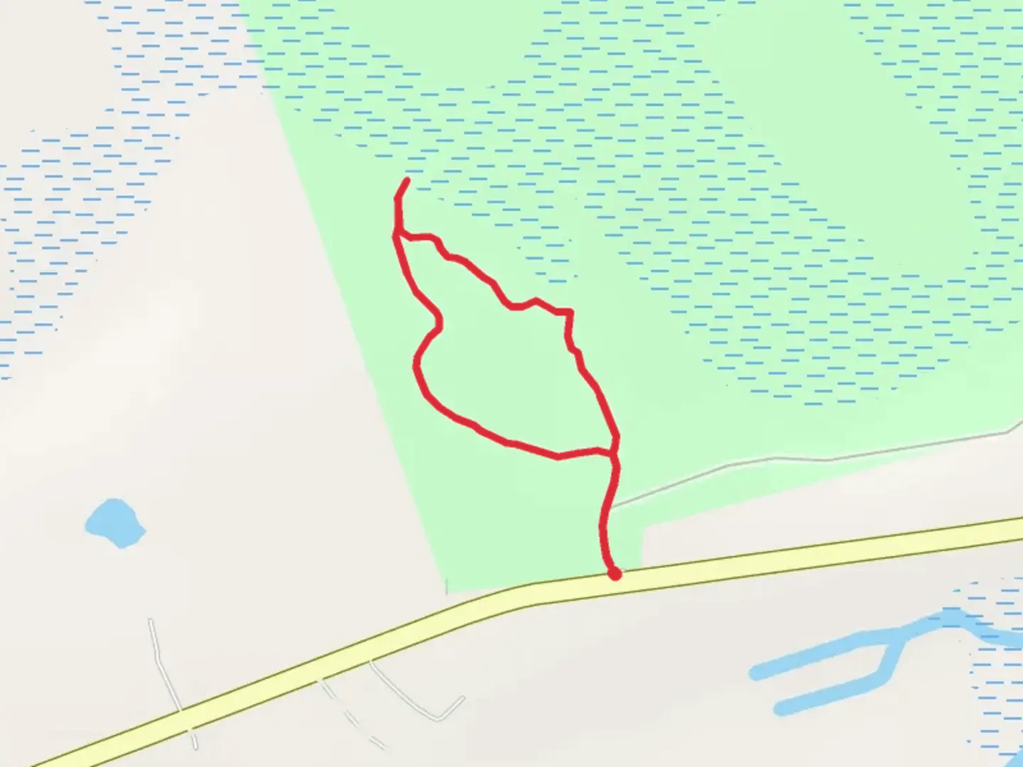 An image depicting the trail Dungannon Plantation Heritage Preserve Loop and its surrounding area.
