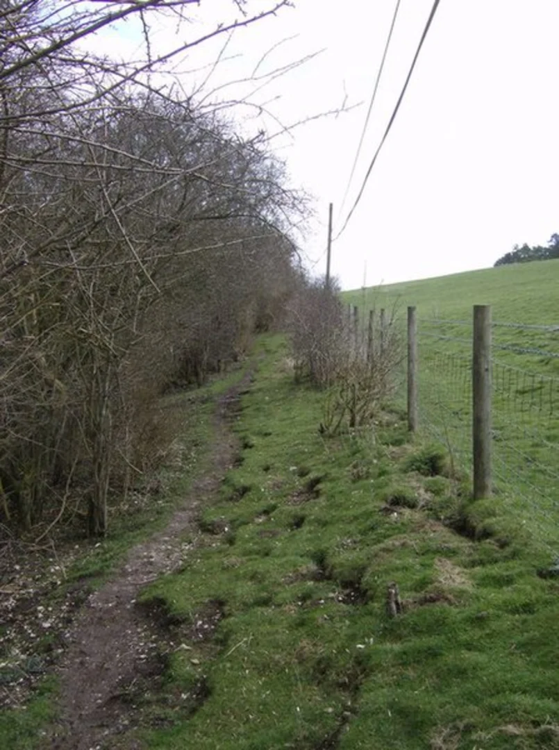 An image depicting the trail Kingsclere Loop and its surrounding area.