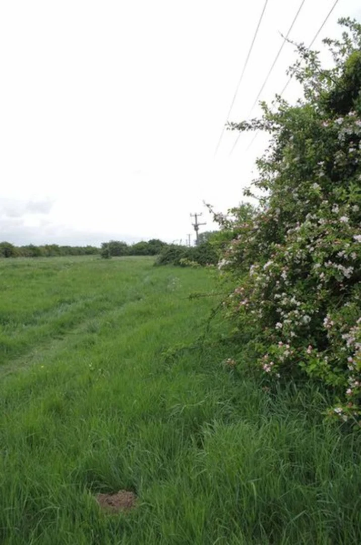 An image depicting the trail Wakering Common and Wakering Stairs Loop and its surrounding area.