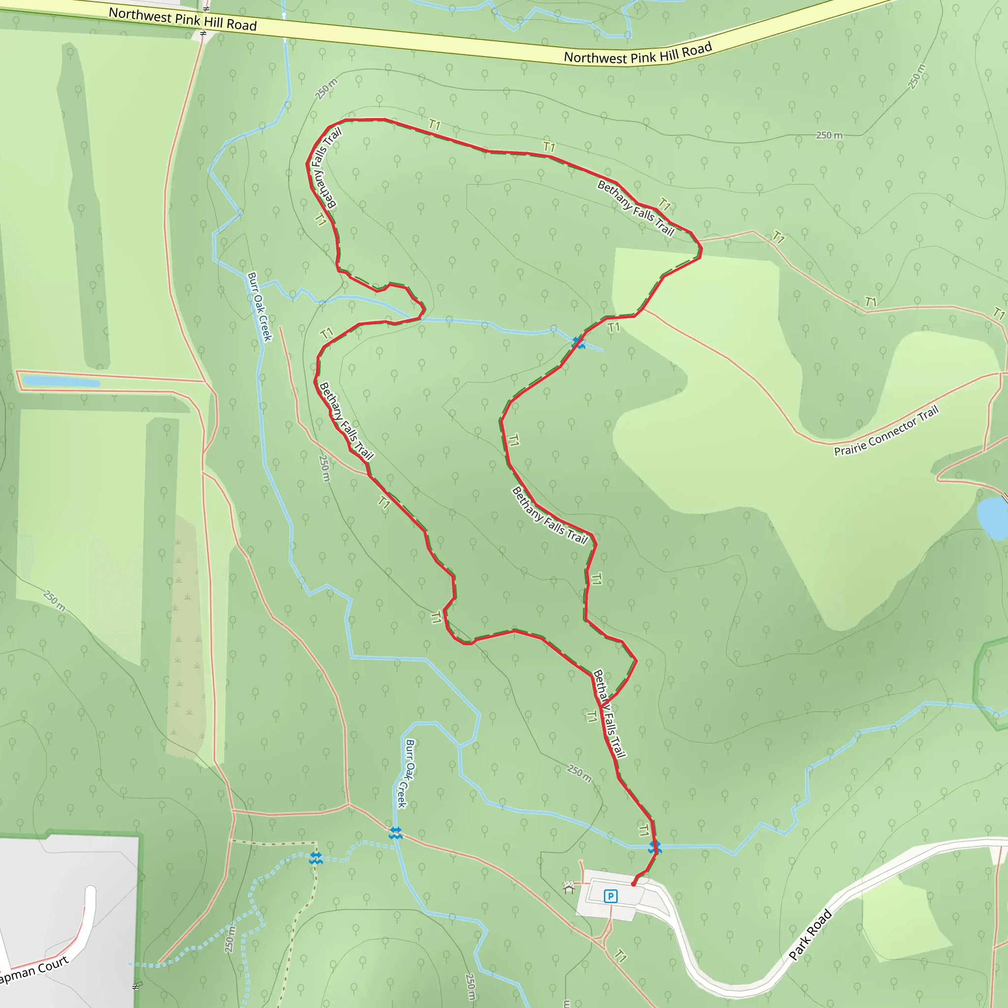 Bethany Falls Loop Trail mobile static map