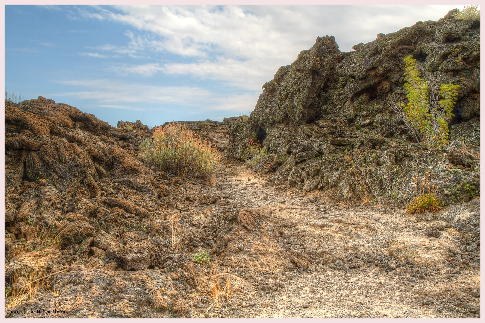 An image depicting the trail Harris Knoll and its surrounding area.