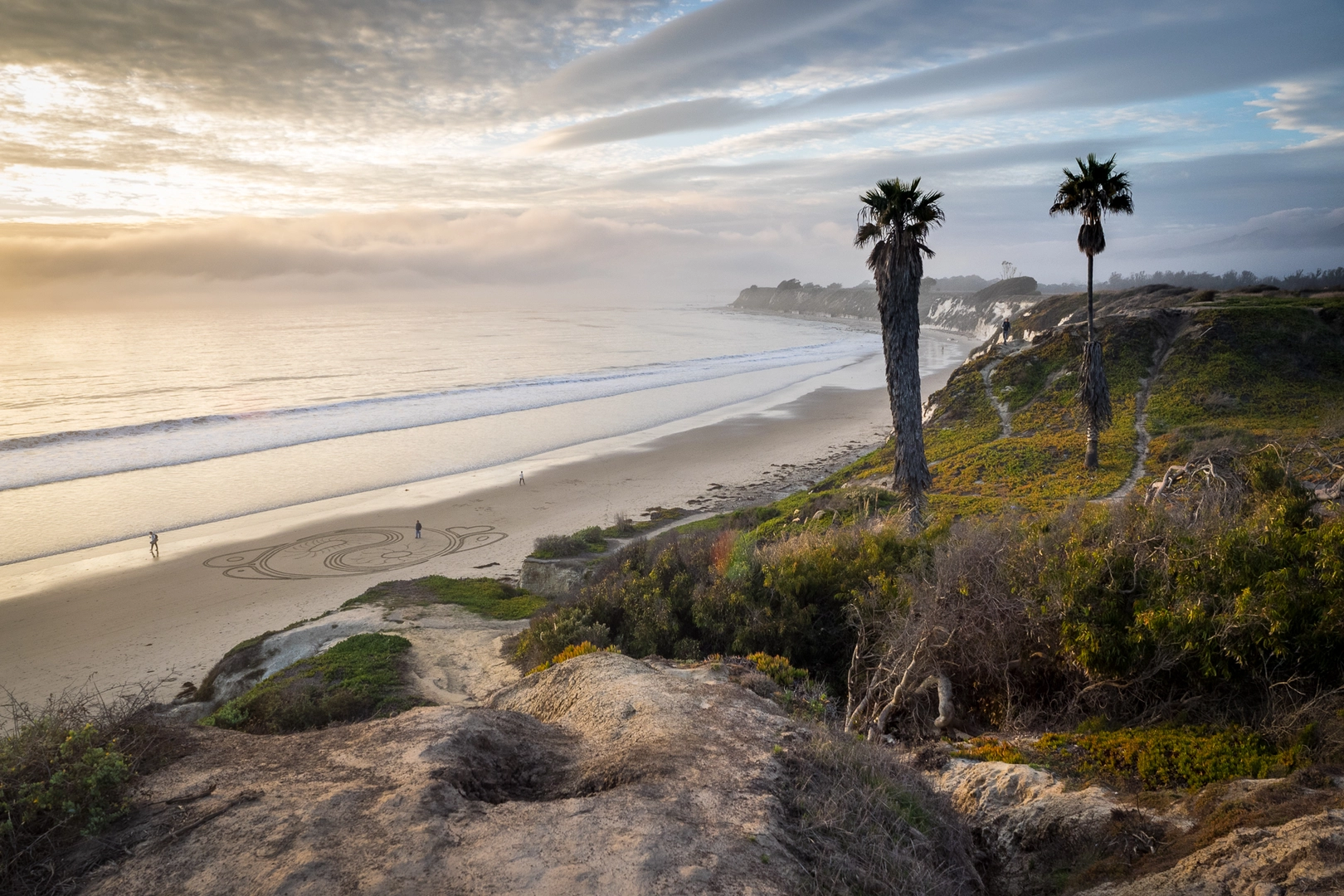 An image depicting the trail Ellwood Forest Park and its surrounding area.