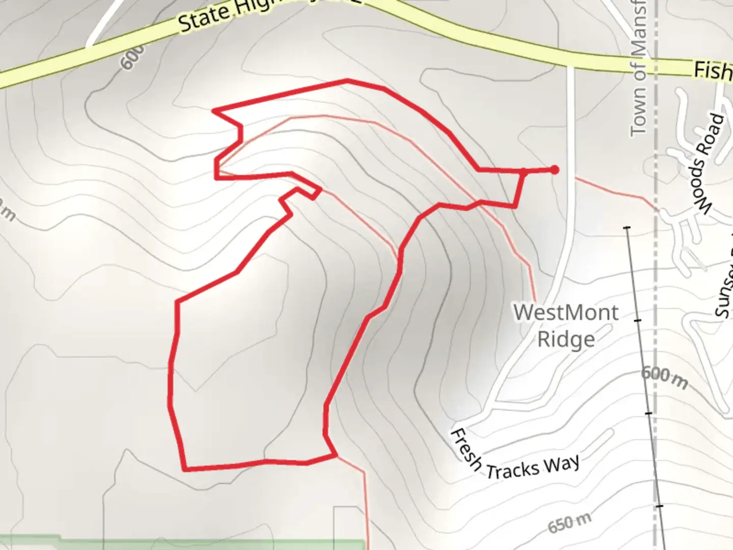 An image depicting the trail Fish Hill Road Loop and its surrounding area.