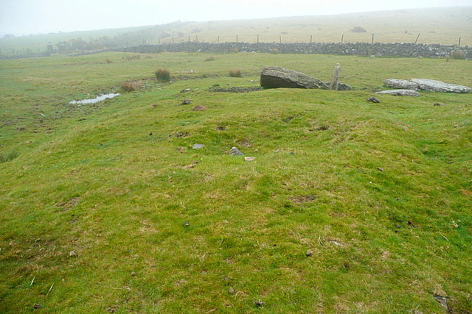 An image depicting the trail Ugborough Beacon, Stone Row Loop and its surrounding area.