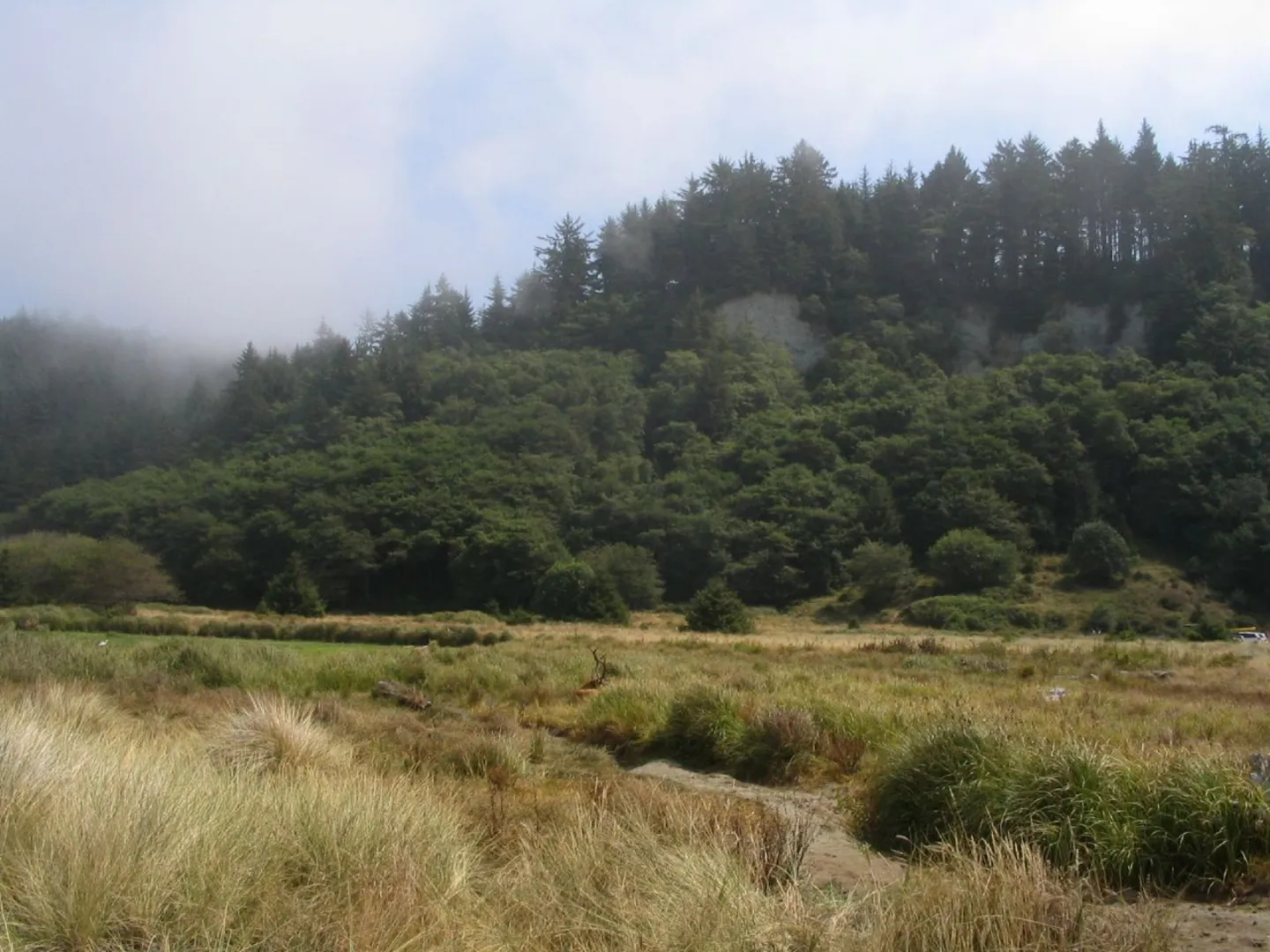 An image depicting the trail Gold Bluffs Beach Campground Loop and its surrounding area.