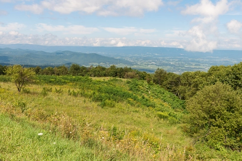 An image depicting the trail Red Gate Fire Road Trail and its surrounding area.