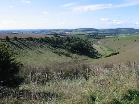 An image depicting the trail Arundel, Houghton and Warningcamp Loop and its surrounding area.