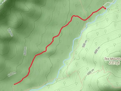 Cedar Creek Out and Back