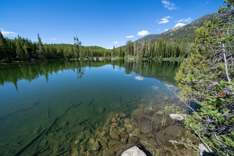 An image depicting the trail Taggart Lake Loop Trail and its surrounding area.