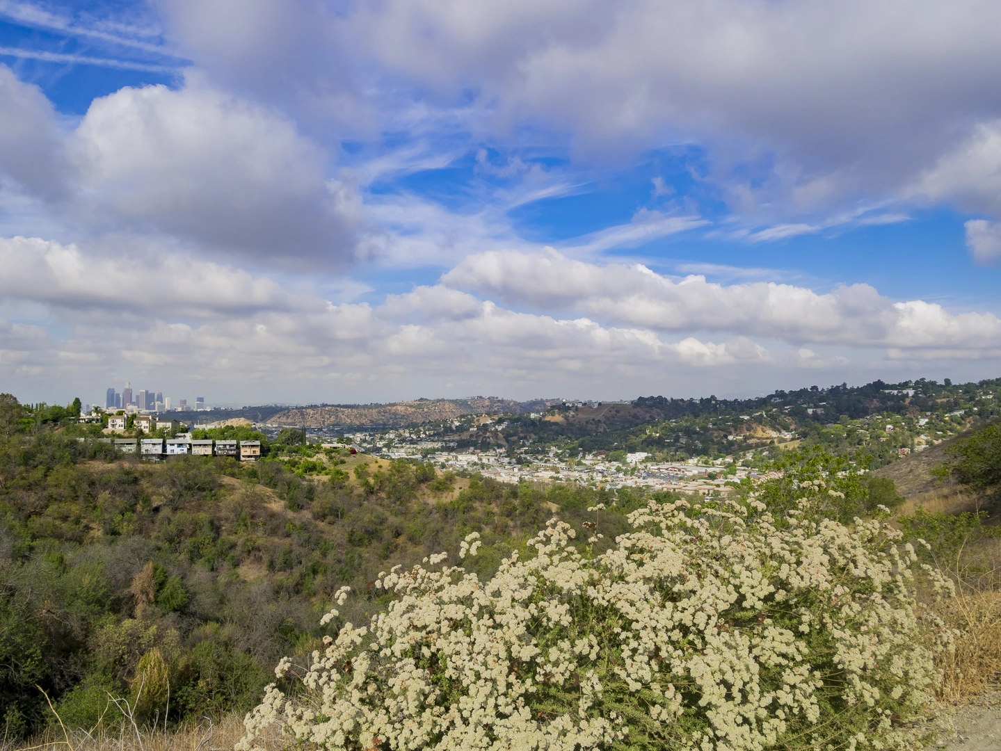 An image depicting the trail Seco View, Debs Lake and Summit Ridge Loop Trail and its surrounding area.