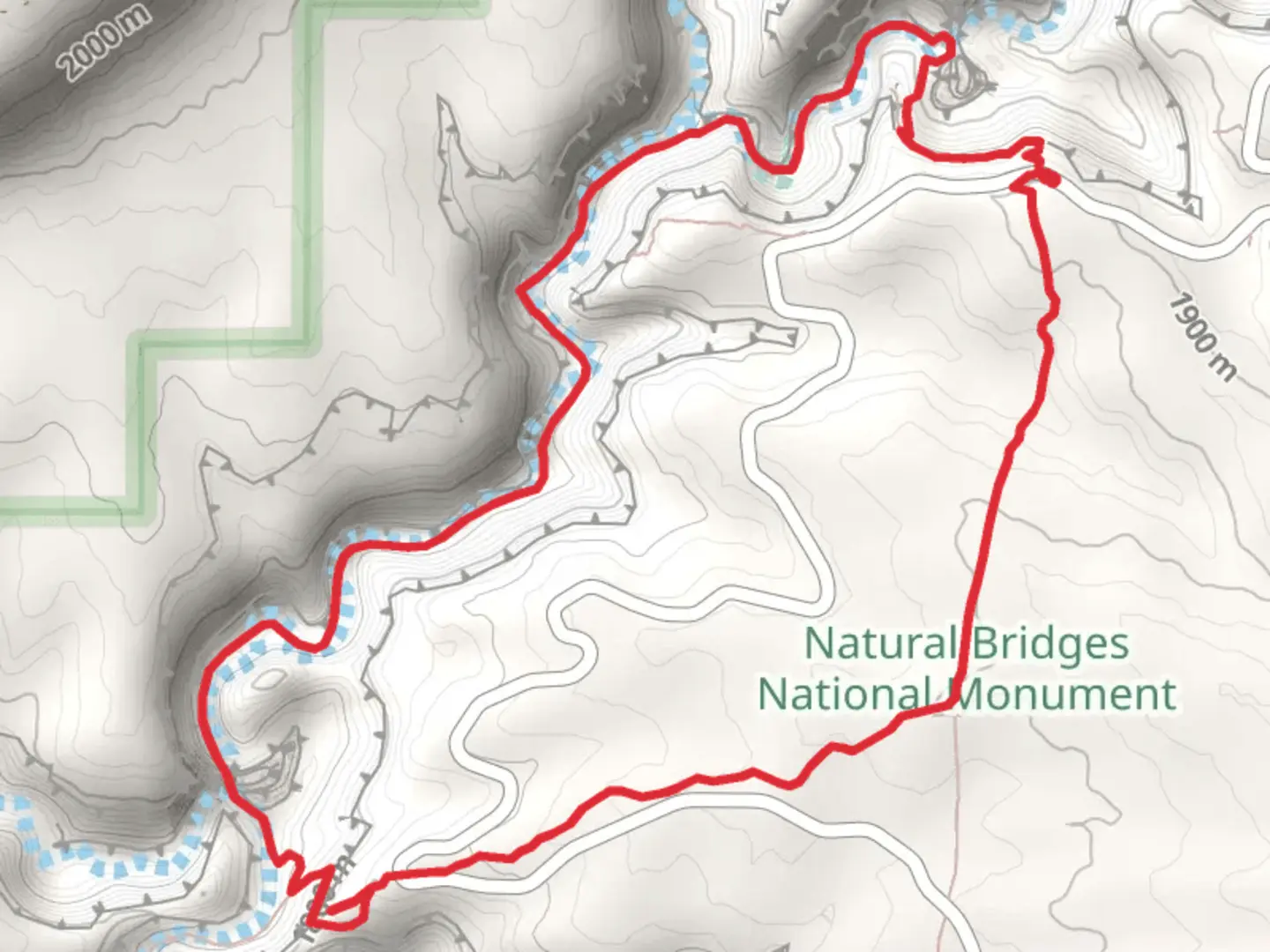 An image depicting the trail White Canyon and Mesa Loop Trail and its surrounding area.