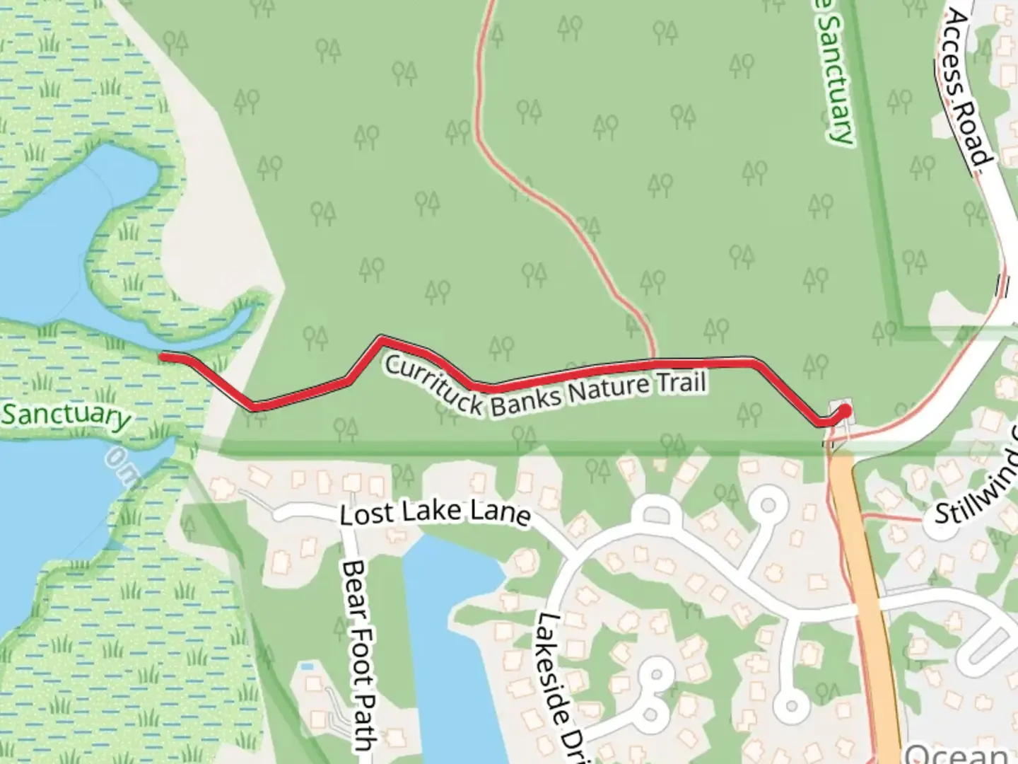 An image depicting the trail Currituck Banks Nature Short Walk and its surrounding area.