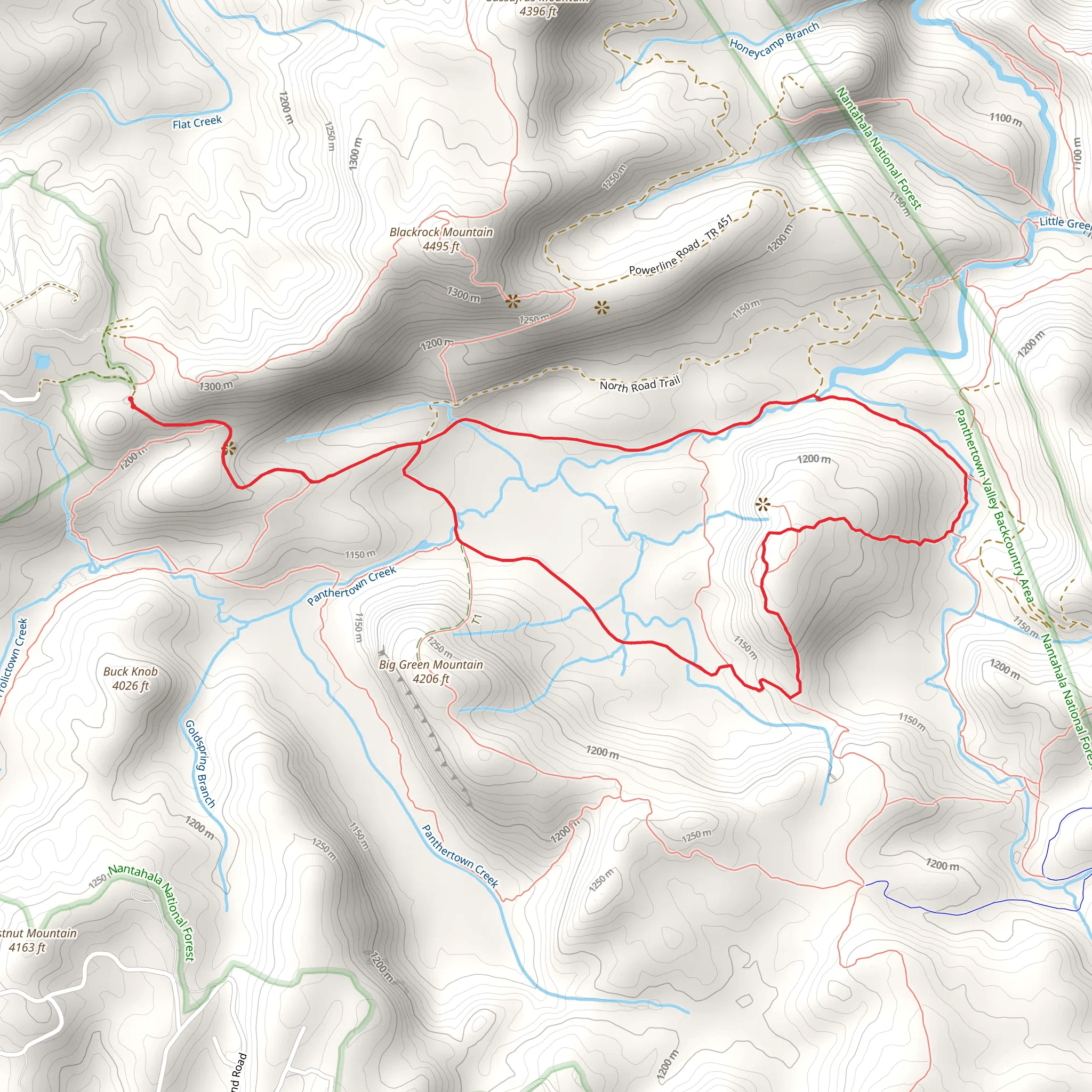 Panthertown Valley Trail, Little Green Mountain and Salt Rock Gap Loop mobile static map