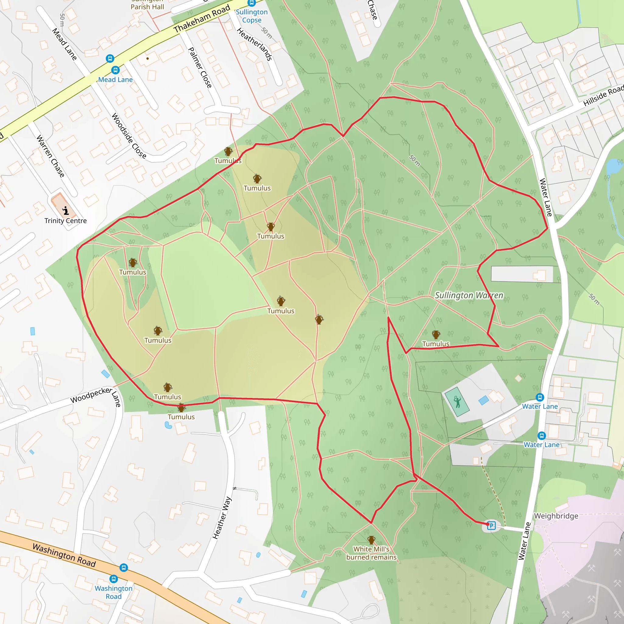 Sullington Warren Loop mobile static map