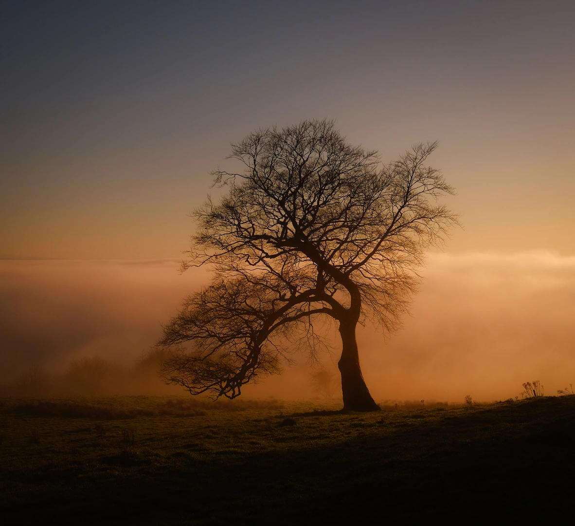 An image depicting the trail Littlewood - Forest Walk and its surrounding area.