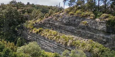 An image depicting the trail Onepoto Caves Track and its surrounding area.