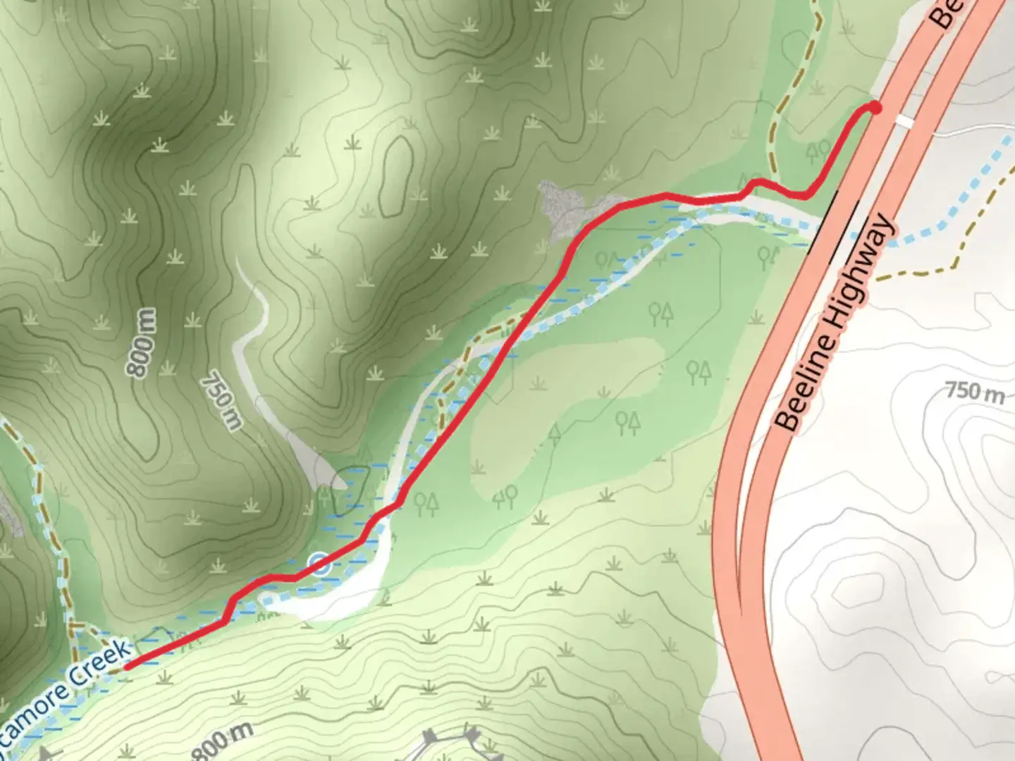 An image depicting the trail Sycamore Creek Out and Back and its surrounding area.