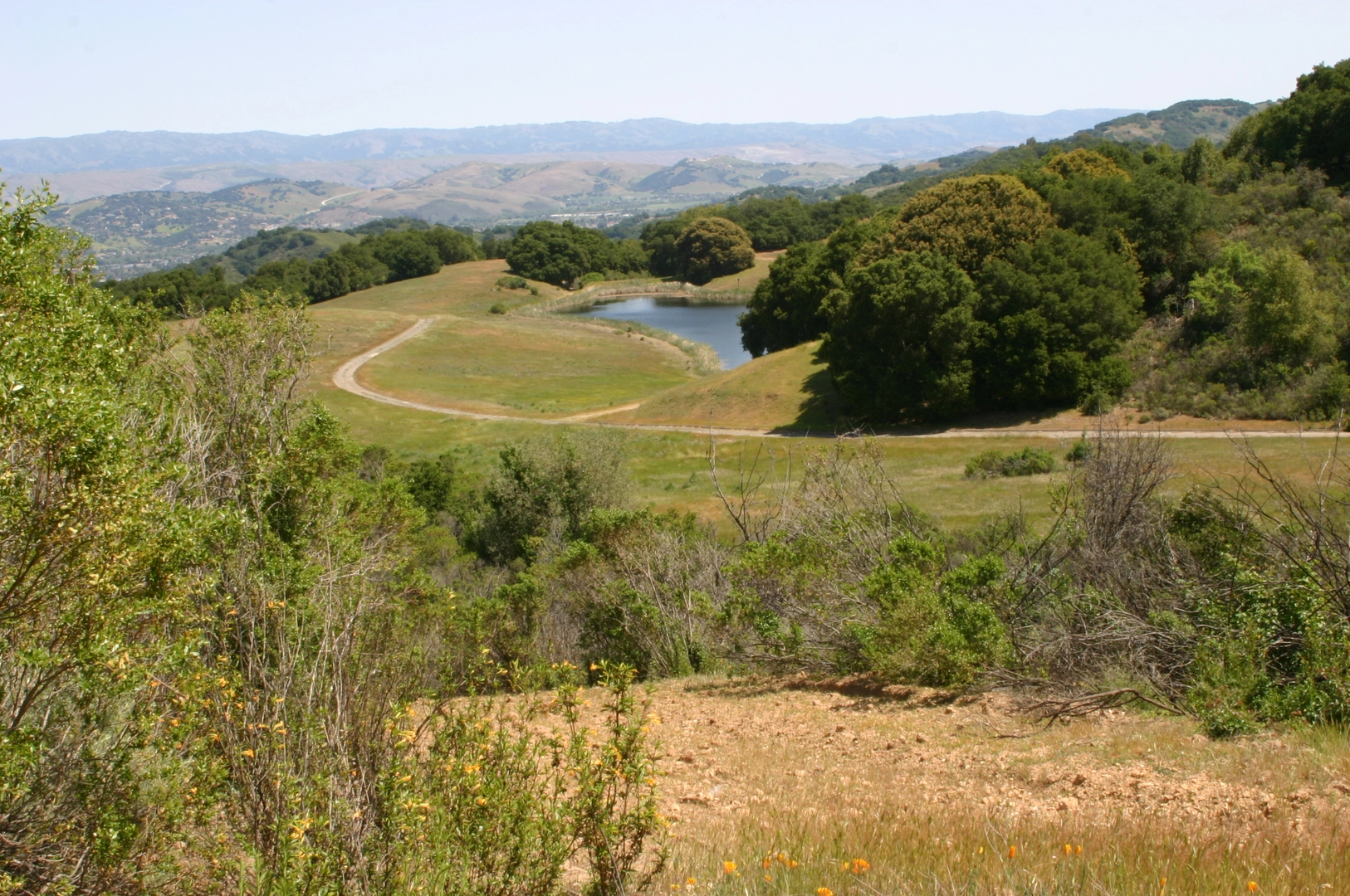 An image depicting the trail Limekiln Trail, Kennedy Trail Loop Mt El Sombroso and Woods Trail and its surrounding area.