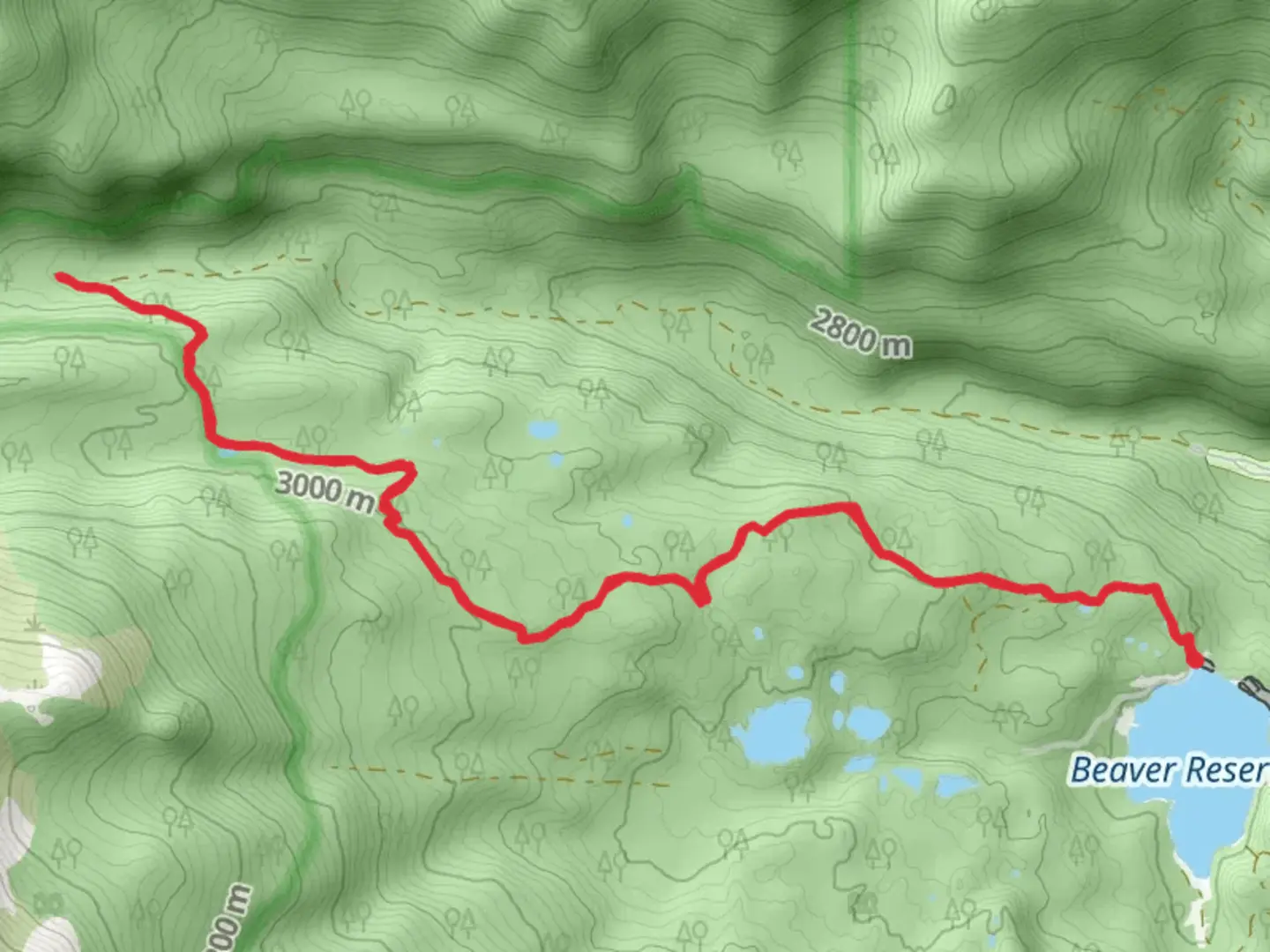 An image depicting the trail Coney Creek Road Walk and its surrounding area.