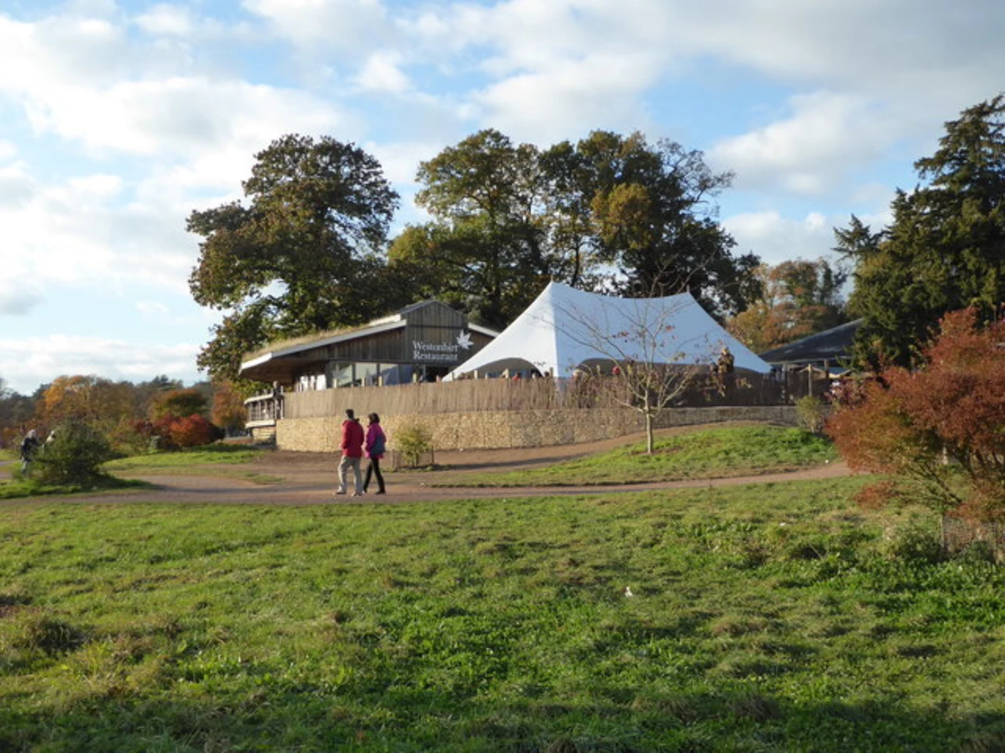 An image depicting the trail Westonbirt Arboretum and its surrounding area.