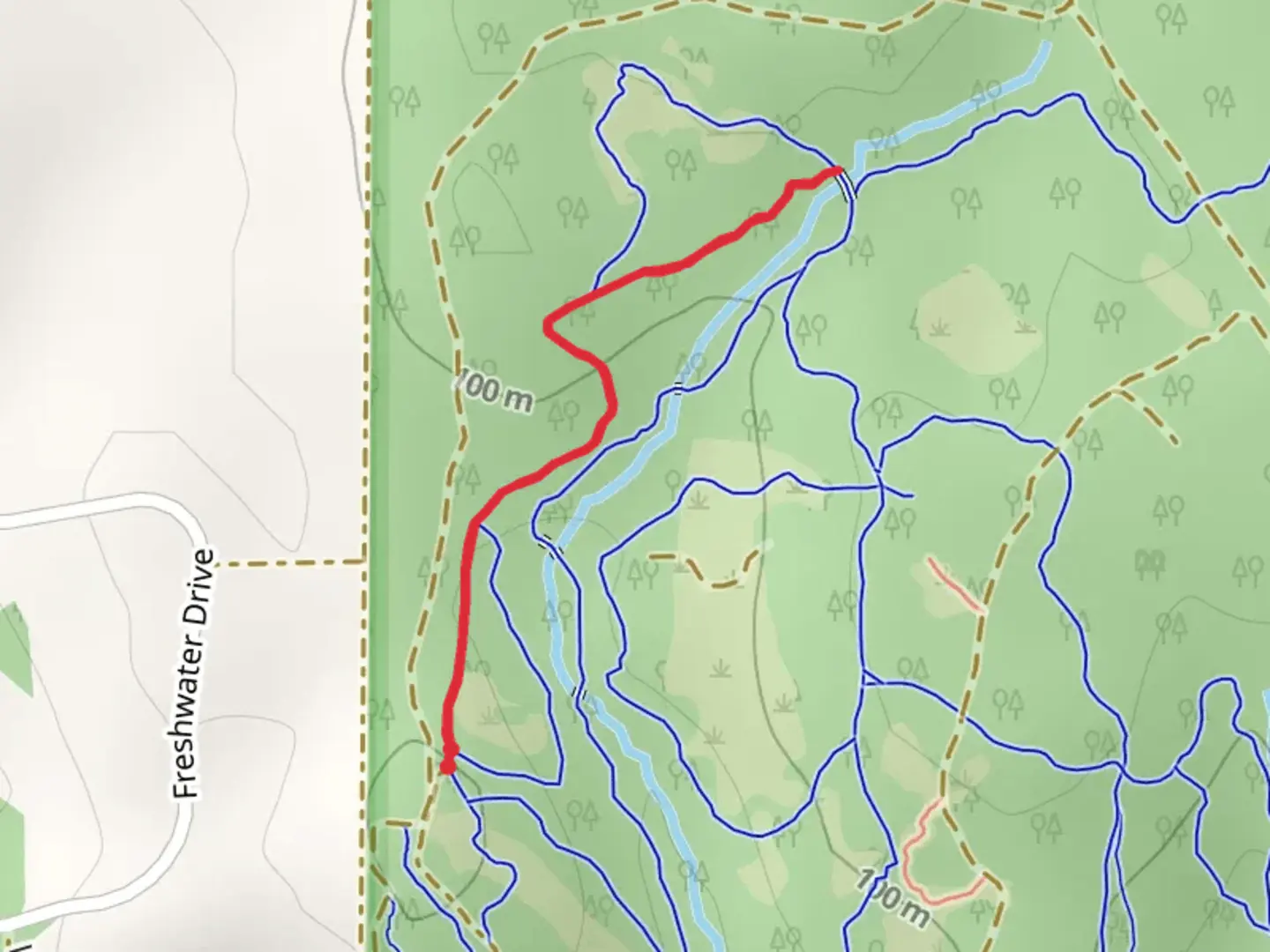 An image depicting the trail Jump Track and its surrounding area.