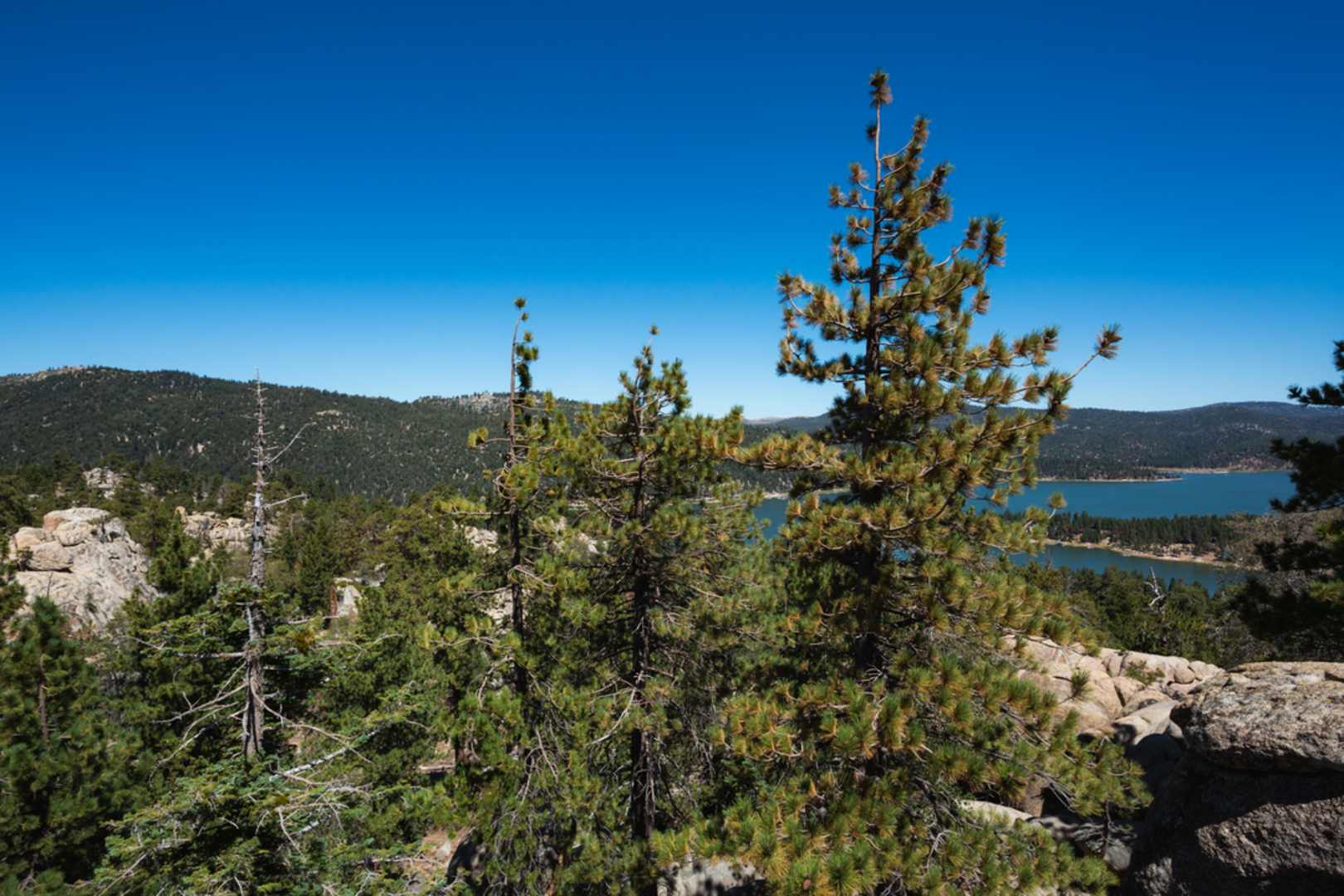 An image depicting the trail Glory Ridge Trail and its surrounding area.