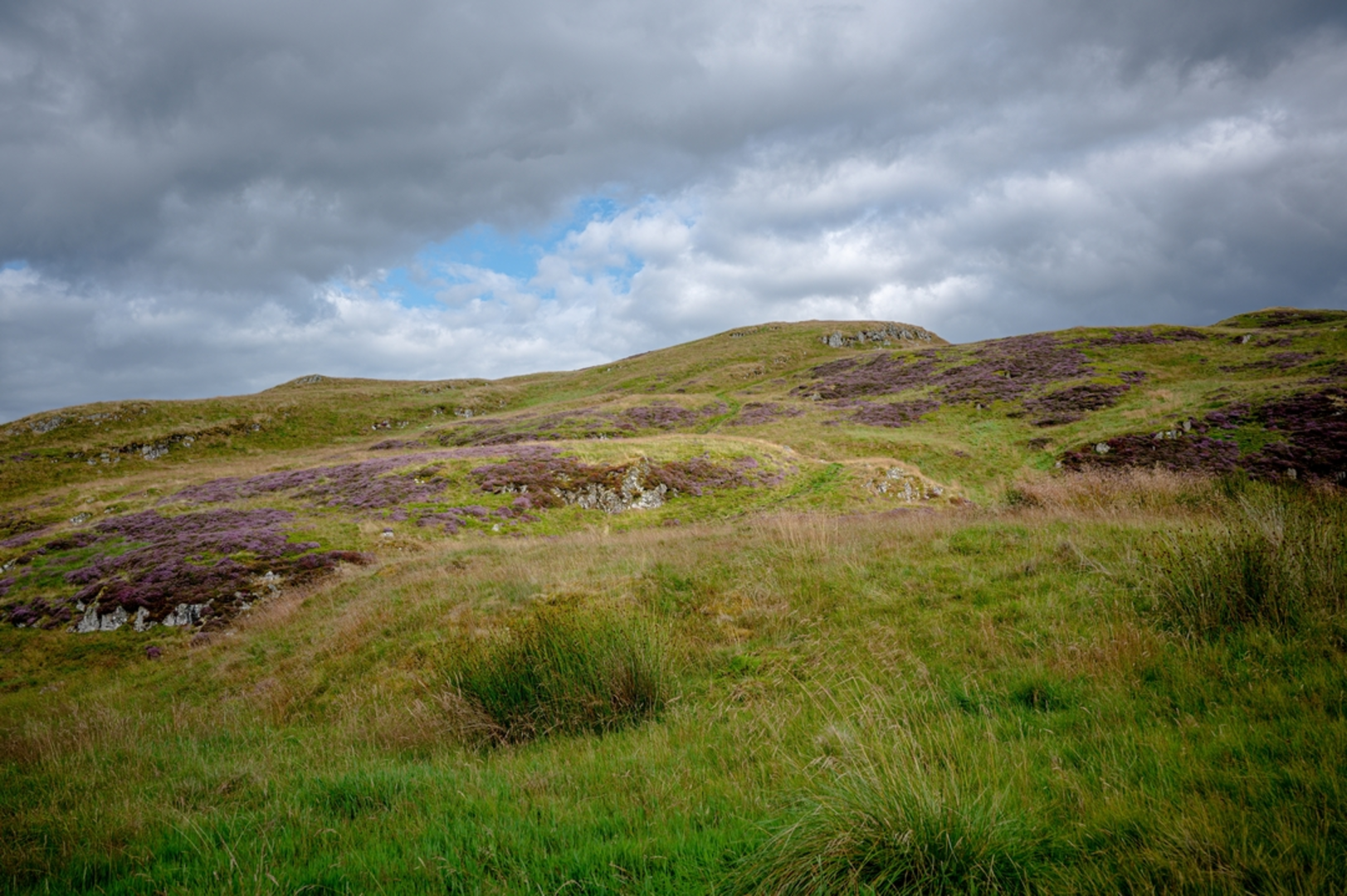 An image depicting the trail Menstrie Glen and Lossburn Reservoir and its surrounding area.