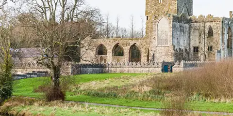 An image depicting the trail Tintern Trails - Tintern Demesne Trail and its surrounding area.