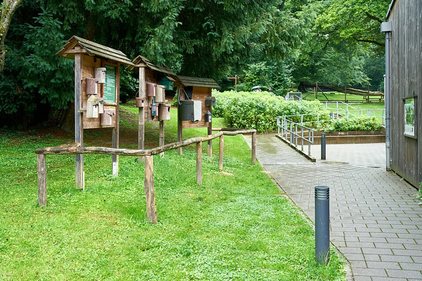 An image depicting the trail Rundweg A3 Wildpark and Grafenberger Hohenweg and its surrounding area.