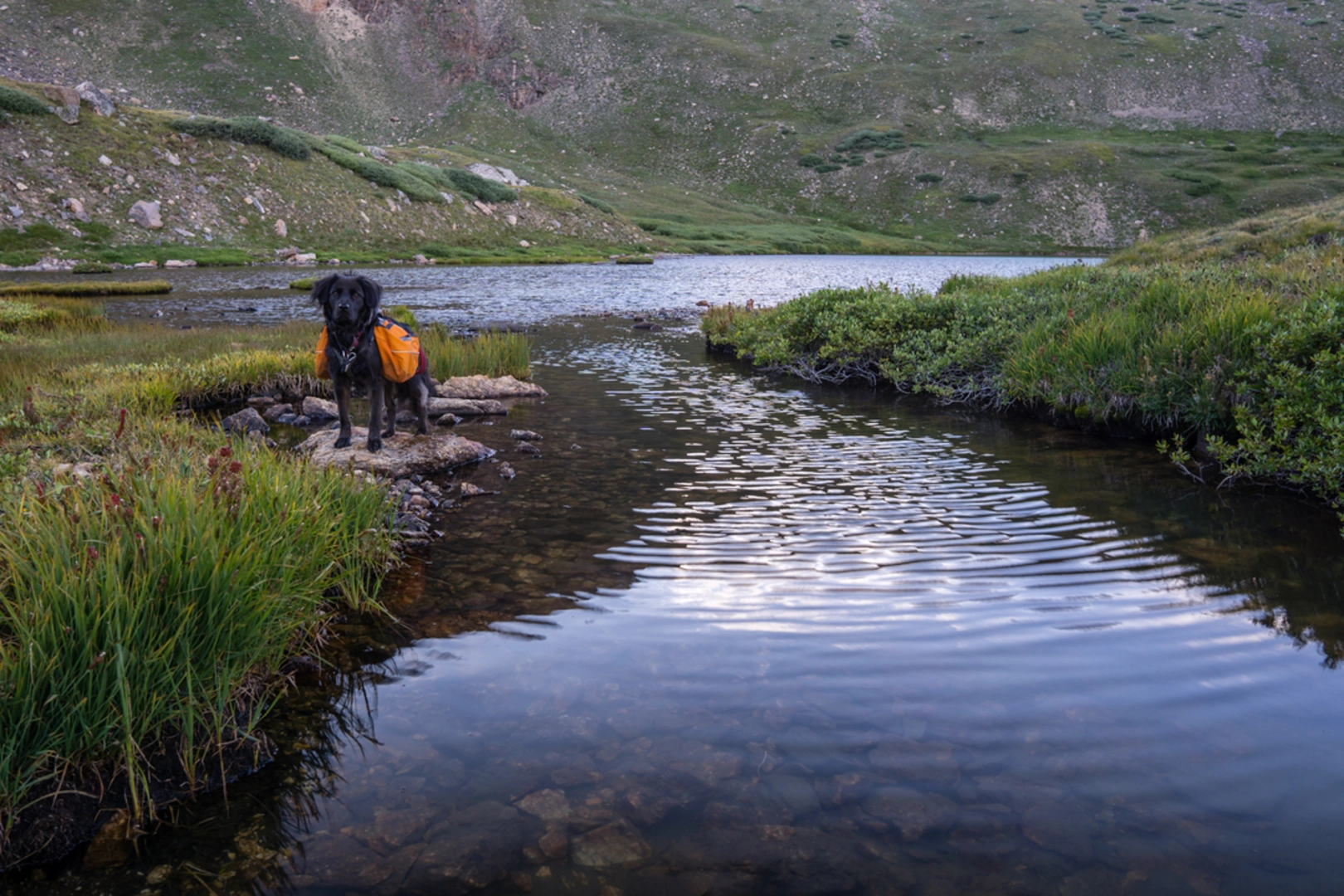 An image depicting the trail South Park Trail and its surrounding area.