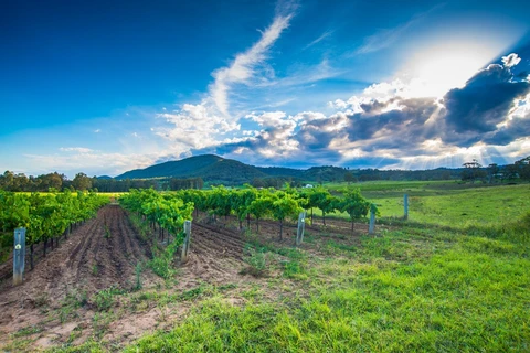 An image depicting the trail Green Gully Track and its surrounding area.