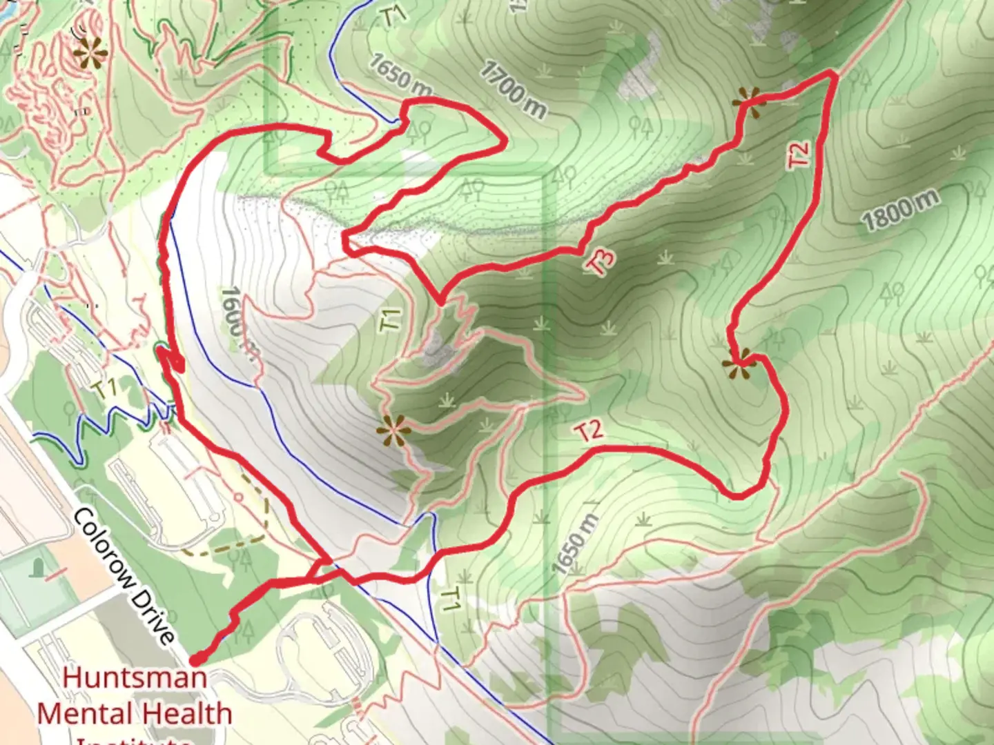 An image depicting the trail Skyline Trail East and Living Room Trail and its surrounding area.
