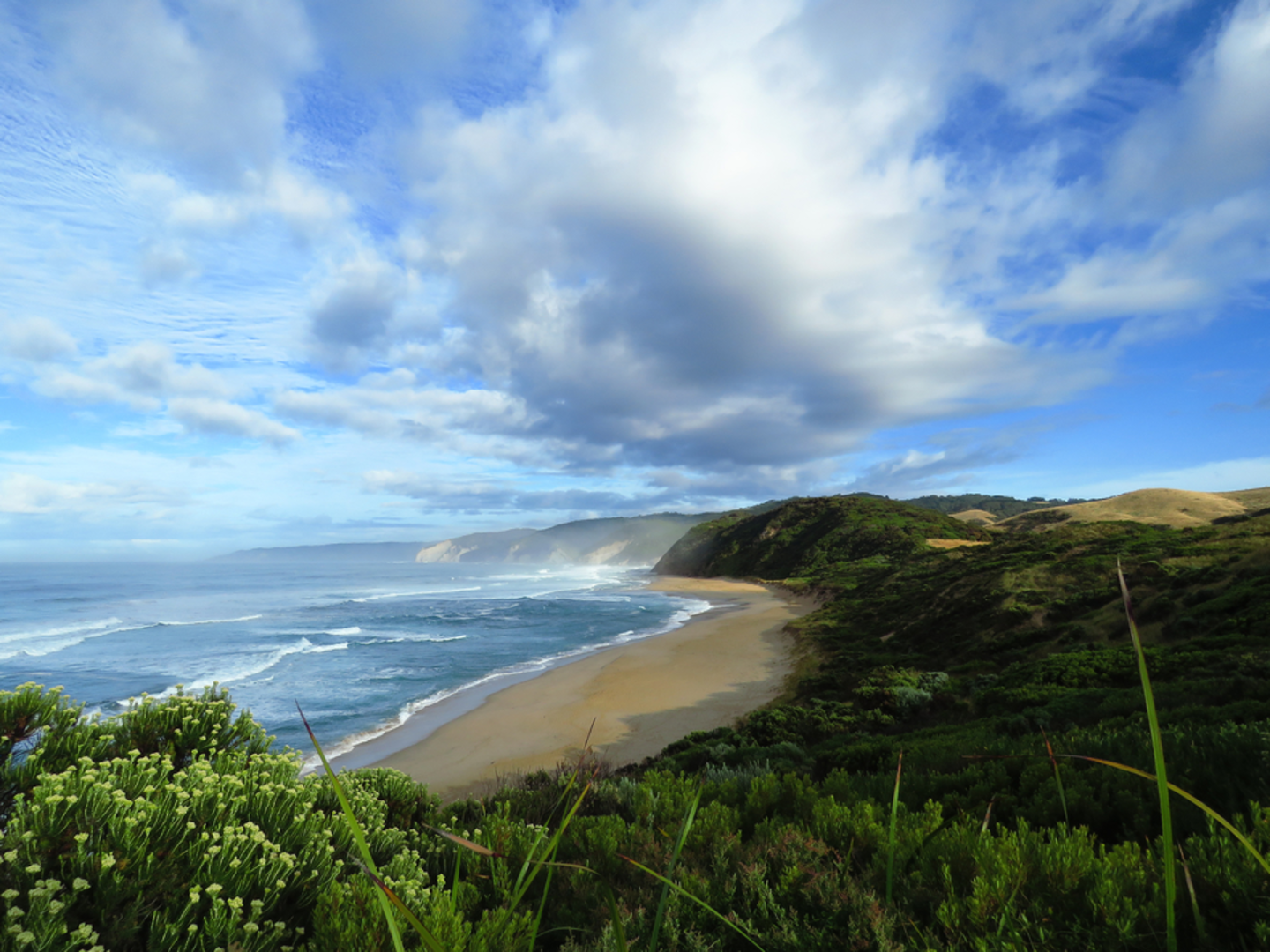 An image depicting the trail Aire River to Johanna Beach Walk and its surrounding area.